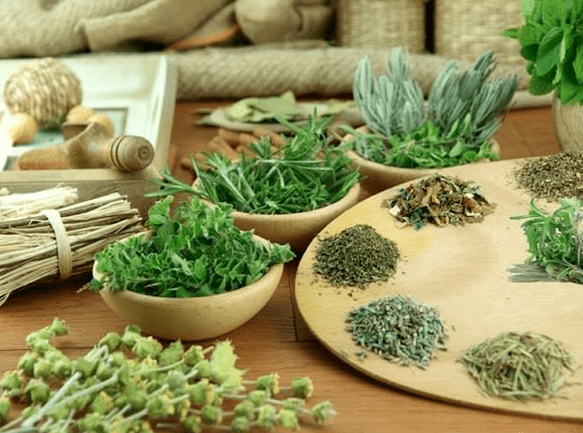 Herbes pour un traitement d'impuissance